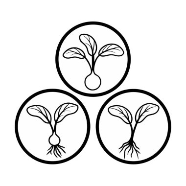 Siyah beyaz çiçek bitkisi