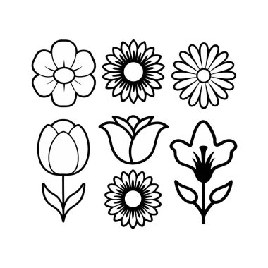 set of flowers isolated on a white background