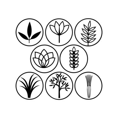 Eko yaprakları ve bitkiler.