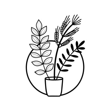 Saksıda şirin kaktüsler izole edilmiş ikon vektör illüstrasyon tasarımı