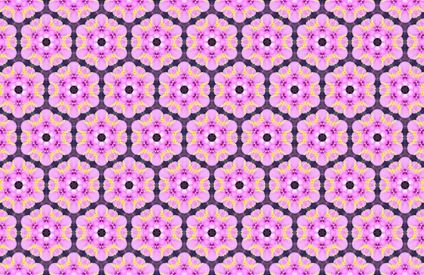 Çiçeksel Uyum Canlı Pembe ve Mor Çiçeklerin Tekrarlayan Şablonu Görsel Cazip Bir Arkaplan Oluşturur