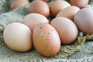 Yemek pişirmek için Yumurtalar