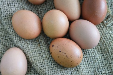 Yemek pişirmek için Yumurtalar