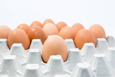 Yemek pişirmek için Yumurtalar