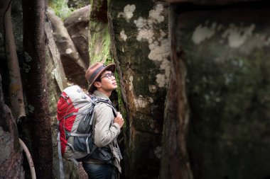 Genç Asyalı yakışıklı adam kaya ormanında yürüyor ve doğa ağacına haritayla bakıyor. Keşif ya da Eğitim Doğa Konsepti.