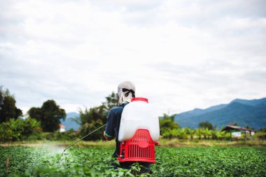 Chili plantasyon üzerinde pestisit çiftçi püskürtme