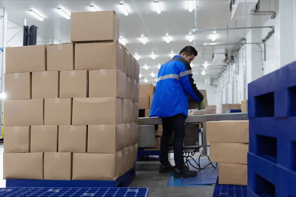 Ambar veya yükleme alanında konveyör bandından paket kutuları.
