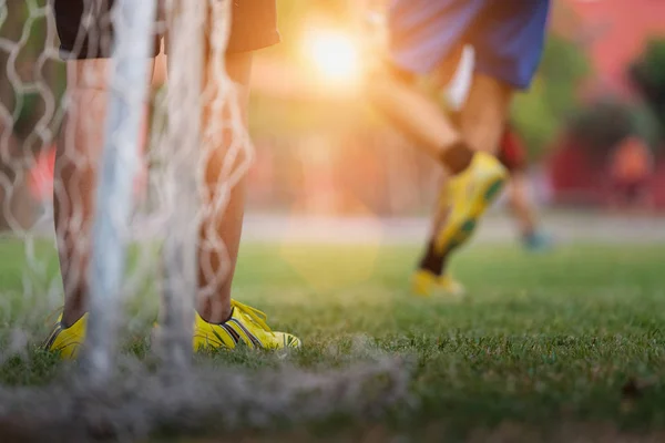 Nsanlar Egzersiz Için Parkta Futbol Oynuyorlar Dünya Çapında Futbol Kavramı — Stok fotoğraf