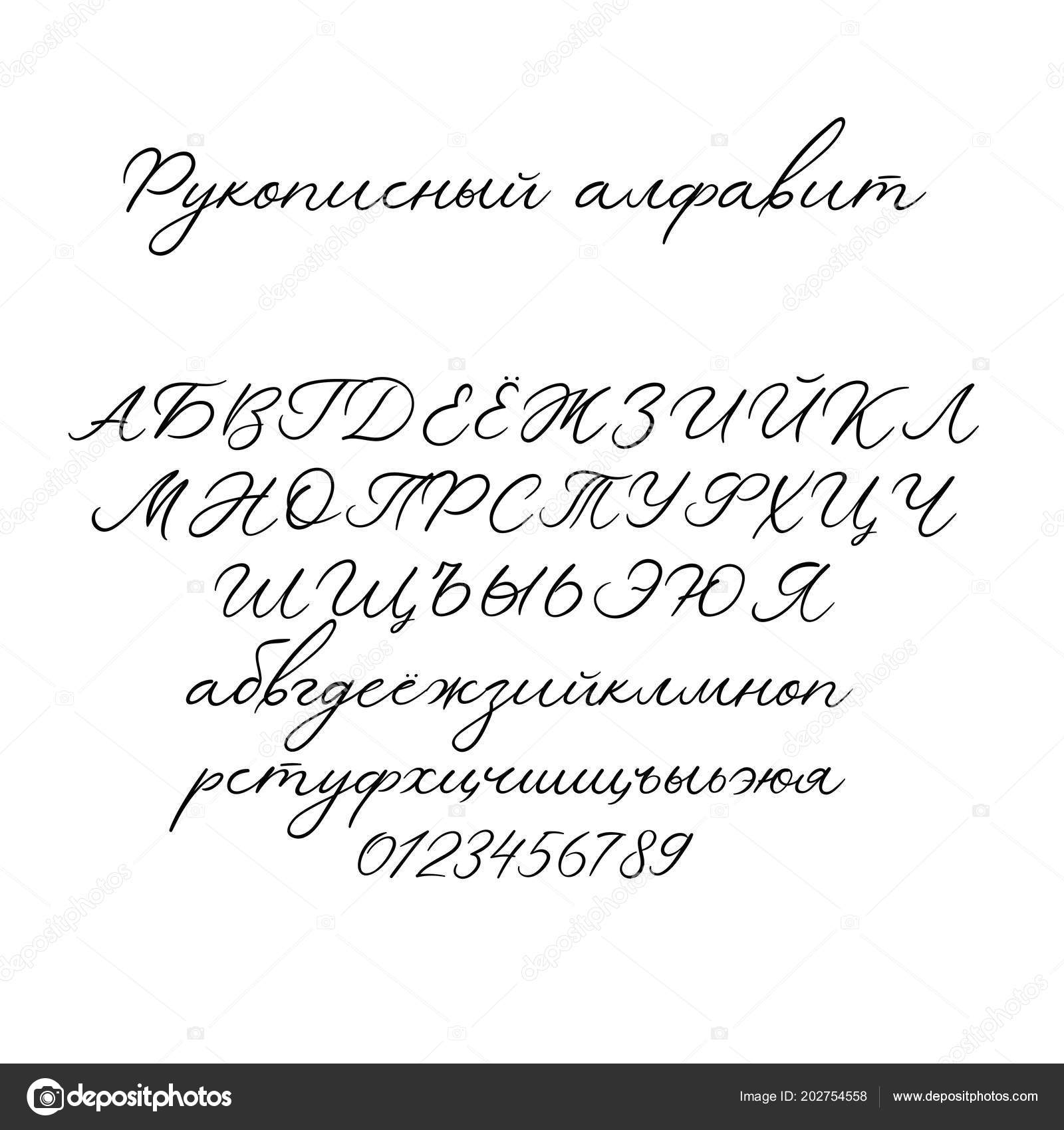 Алфавит Векторной Каллиграфии. Эксклюзивные Письма. Декоративный.