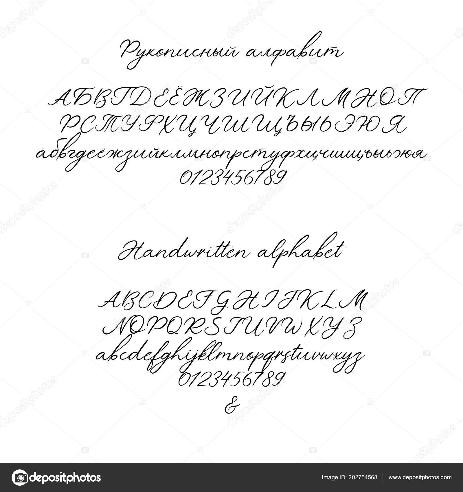 Алфавит Векторной Каллиграфии. Эксклюзивные Письма. Декоративный.