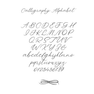 Vektör hat alfabe. Özel harfler. Düğün Monogram, Logo, davet için dekoratif el yazısı fırça yazı tipi