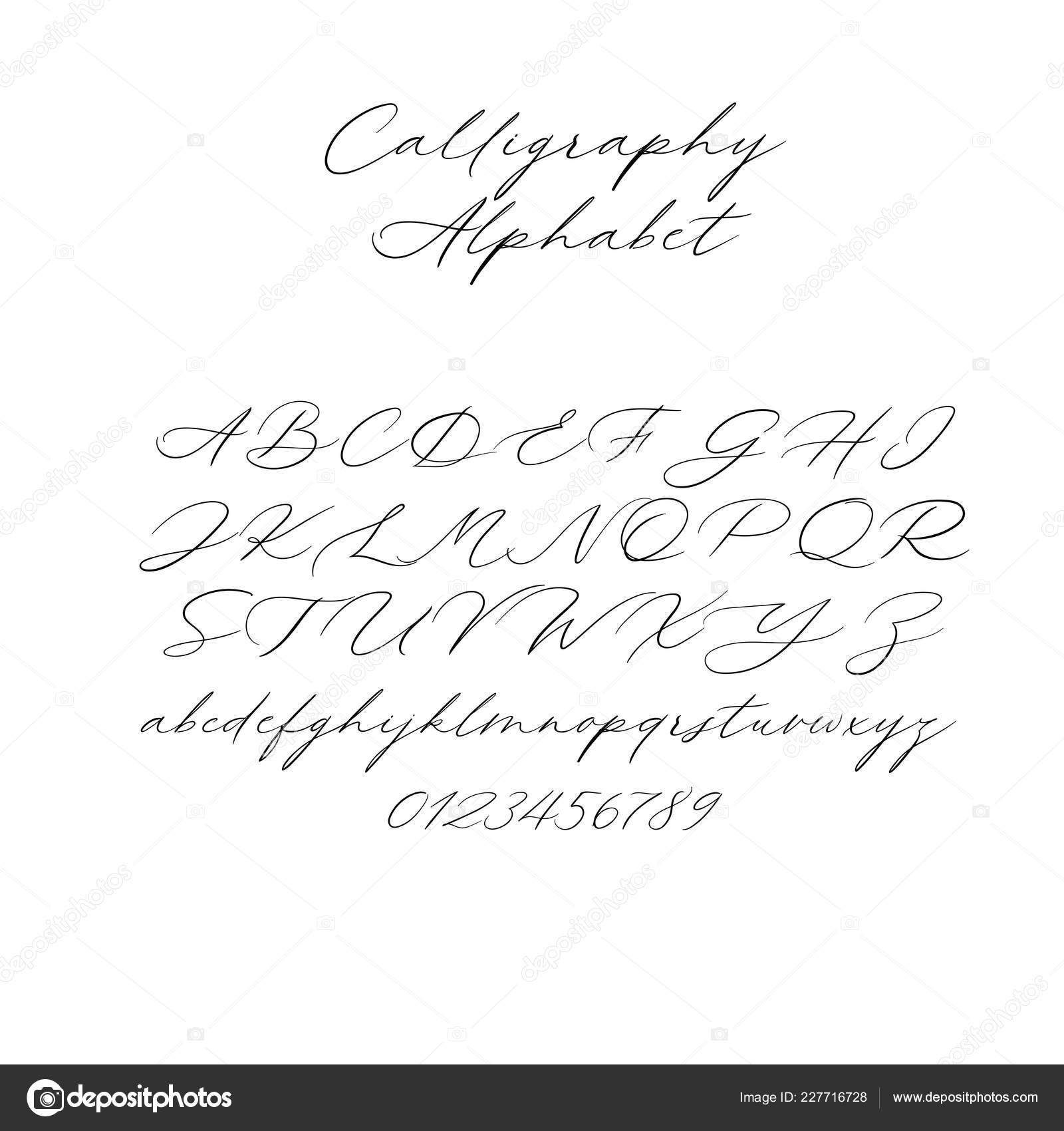 Алфавит Векторной Каллиграфии. Эксклюзивные Письма. Декоративный.