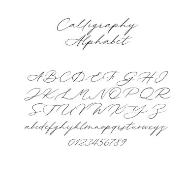 Vektör hat alfabe. Özel harfler. Düğün Monogram, Logo, davet için dekoratif el yazısı fırça yazı tipi