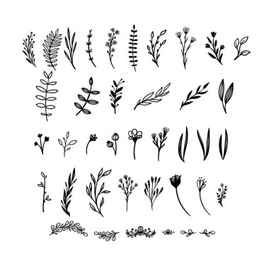 El çiçek vektör öğeleri çekilmiş. Vahşi ve özgür. Davetiye, tebrik kartları, tırnak, Bloglar, düğün çerçeveleri için mükemmel