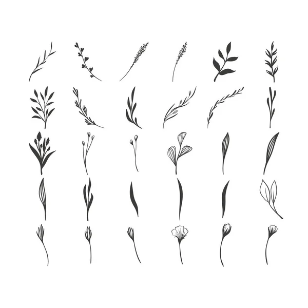 Hand getekend floral vectorelementen. Wild en vrij. Perfect voor uitnodigingen, wenskaarten, citaten, blogs, bruiloft Frames — Stockvector