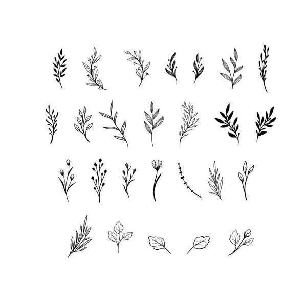 Hand drawn floral vector elements. Wild and free. Perfect for invitations, greeting cards, quotes, blogs, Wedding Frames