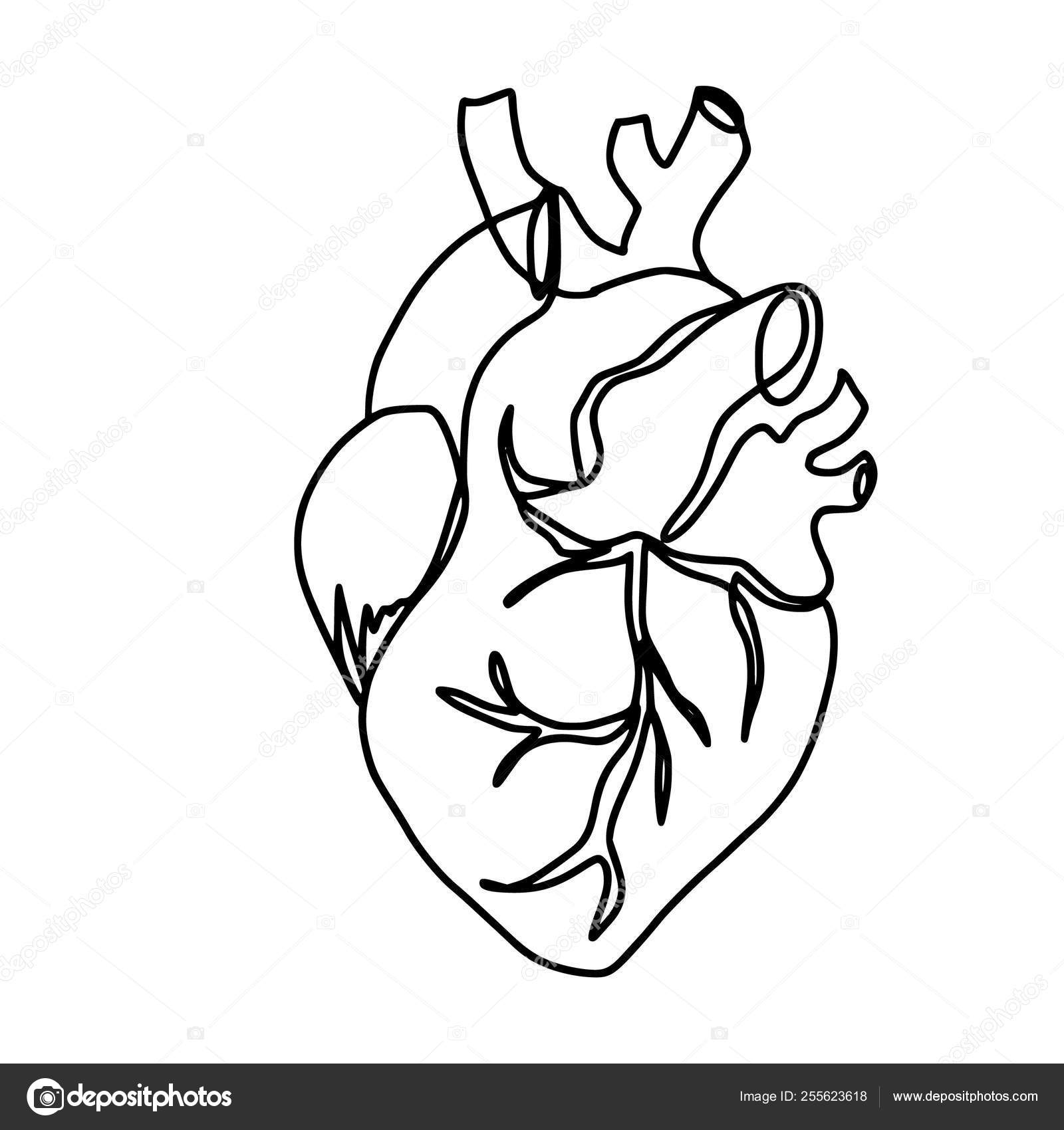 Abstract heart one line drawing. Continuous line heart isolated on
