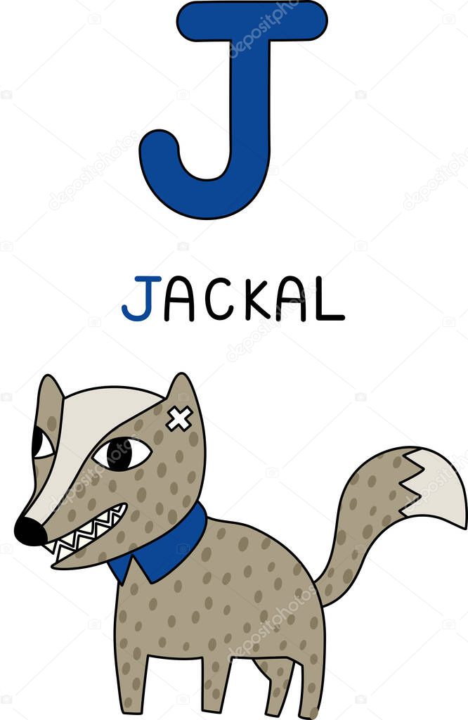 A capital letter of J jackal a wolf-like that is native to Southeast Europe,Southwest Asia,South Asia. Smaller and shorter legs, shorter tail; color is dark tawny beige. Cartoon doodle flat design character with English vocabulary back