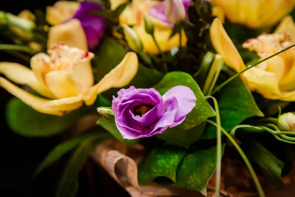 Een Boeket Van Gele Orchideeën Een Boom Box — Stockfoto