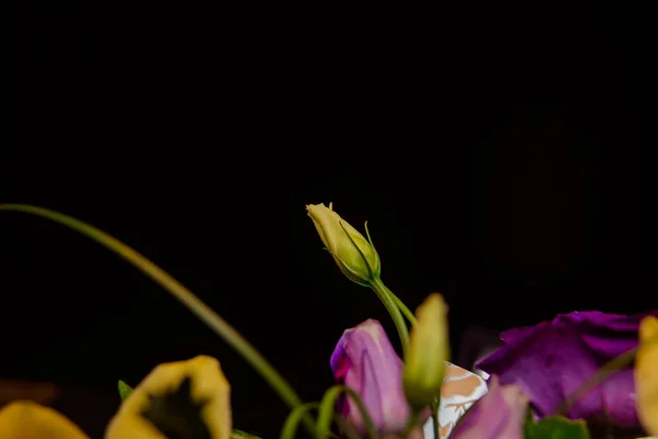 Букет Желтых Орхидей Коробке Деревом — стоковое фото