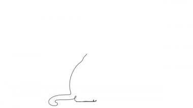 Kedi oyuncakla oynuyor. Devamlı çizgi çizimi. beyaz arkaplandaki siyah sürekli çizgi.