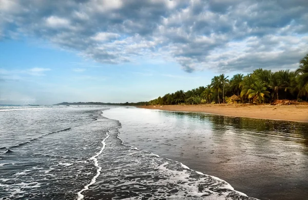 Sandy Beach Palms ağaçlar ve Pasifik Okyanusu dalgaları manzara. Kosta Rika. Mavi gökyüzü bulutlar. Güneşli gün.