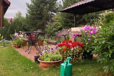 Arka bahçe veranda alan şömine ve mobilya ile. Yeşil parti alanı. Çiçek açan çiçekler ve yeşil çimen