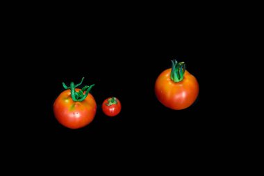 Siyah arka plan üzerine izole kiraz domates portre