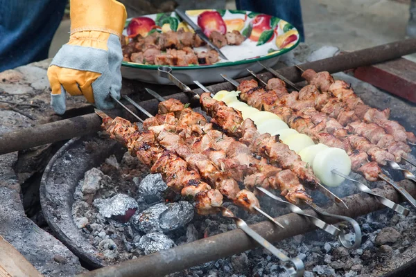 Barbekü et kebap. Üzerinde metal şişleri yemek ızgara kebaplar. Açık mutfak. Piknik.