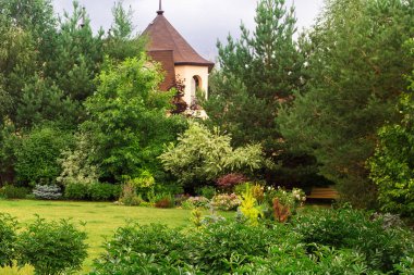 İğne yapraklı ağaçlar ile bahçe yeşil çim. Arka bahçe veranda.