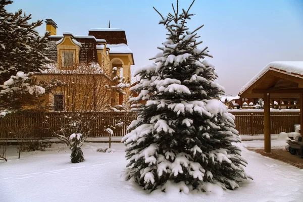 Landhaus Landschaft Mit Schneebänken Aus Weißem Schnee Und Kiefern Landgarten — Stockfoto