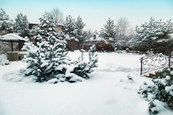 Arka bahçe Barbekü alanı, snowbanks beyaz kar, çam ağaçları ülke bahçe ile Patio.Landscape. Ülke hayat kavramı.