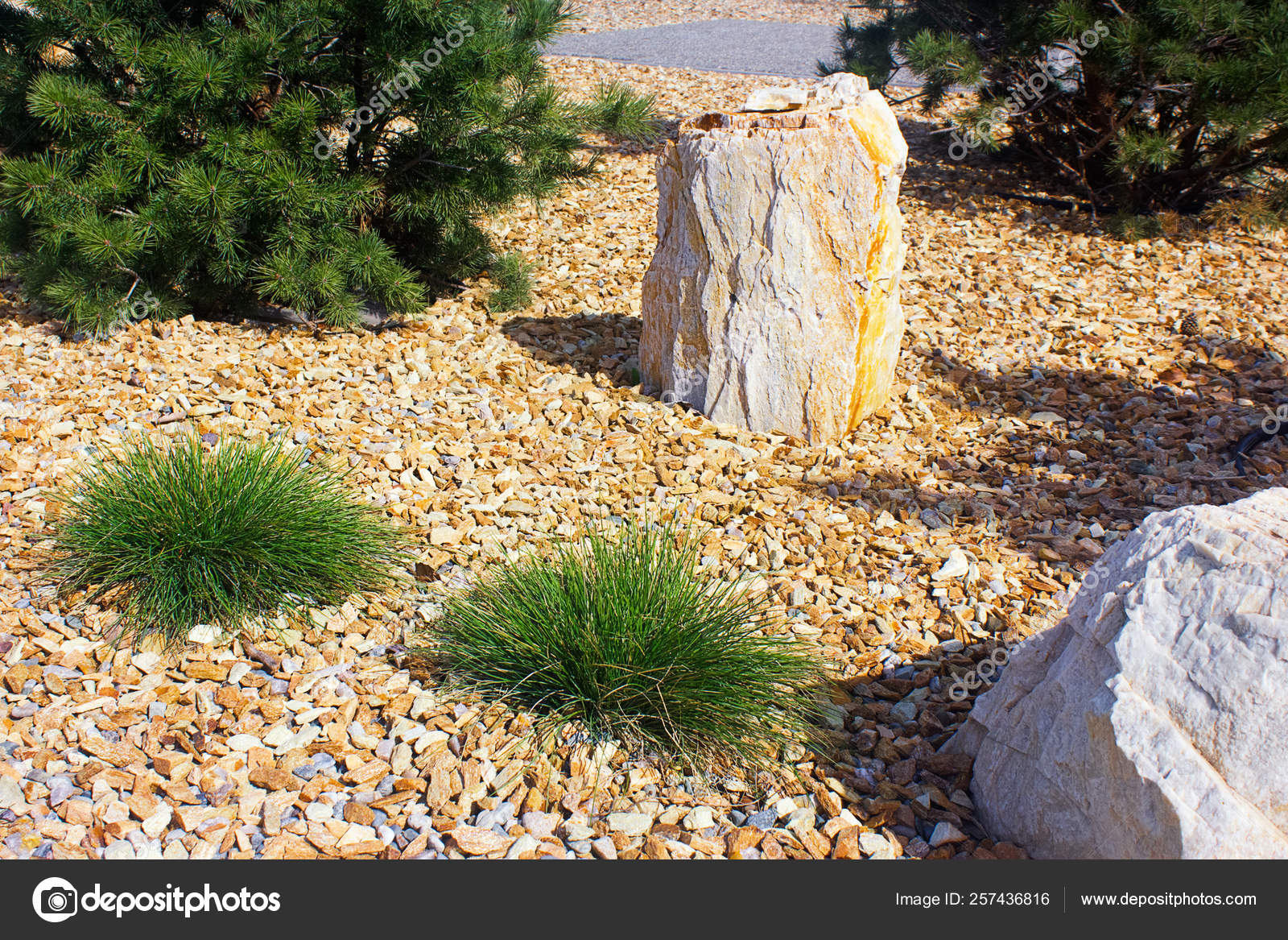 Modern Garden Design Large Stones Pine Trees Garden Decoration