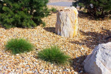 Büyük taşlar ve çam ağaçları ile Modern Bahçe tasarımı. Bahçe dekorasyonu.