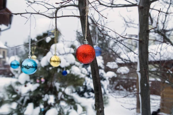 Noel dekorasyonu ile karda kış bahçesi. Asma olorful Xmas kabarcıklar.