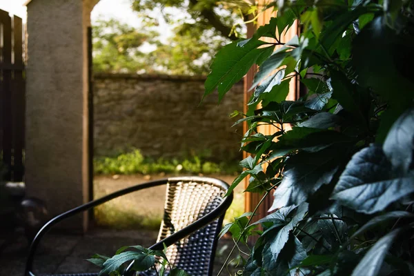 나뭇잎과 의자입니다 흐릿한 개찰구 울타리 — 스톡 사진