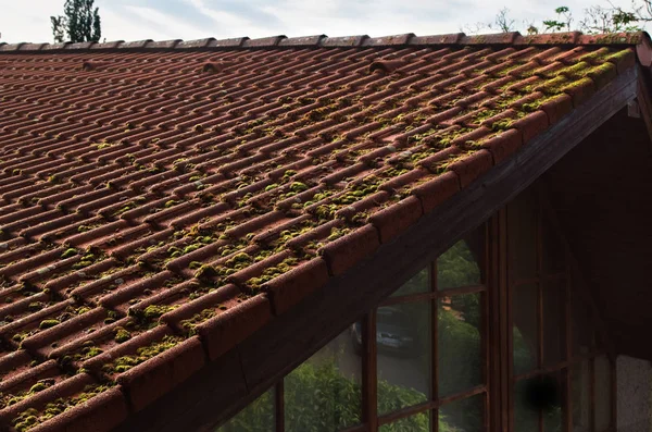 小屋的红瓦屋顶 现代屋顶瓦片覆盖着绿苔特写 — 图库照片
