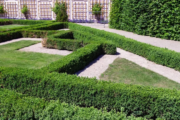 Trimmed bushes  and paths in park. Garden design.