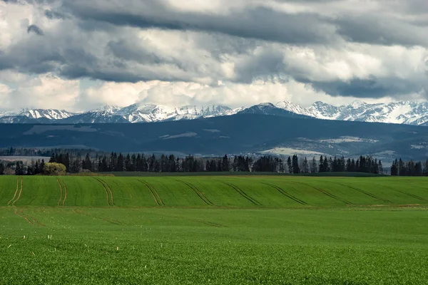 Summer view to the green meadow with simetrice spaced roads , Tatra mountains,  Poland, Europe. — Stock Photo, Image