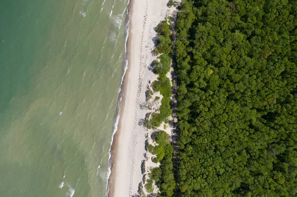 Top-down view of the sea beach. You can see the coastal forest, breakwaters and waves running onto the sand. Shot on a drone.