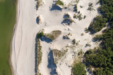 Kumsalın muhteşem kuş bakışı görüntüsü. Kum ve su arasındaki sınırı görebilirsiniz. İHA 'da vuruldu..