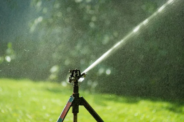 炎炎夏日 草坪上的草坪洒水喷洒在草坪上 自动浇水设备 草坪维护 园艺和灌溉系统 模糊的背景 — 图库照片