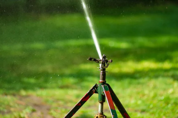 Lawn water sprinkler spraying water over lawn green fresh grass in garden on hot summer day. Automatic watering equipment, lawn maintenance, gardening and Irrigation system. Blurred background.