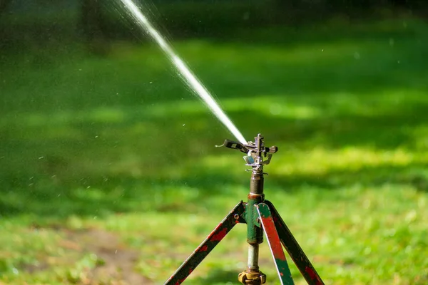 Lawn water sprinkler spraying water over lawn green fresh grass in garden on hot summer day. Automatic watering equipment, lawn maintenance, gardening and Irrigation system. Blurred background.