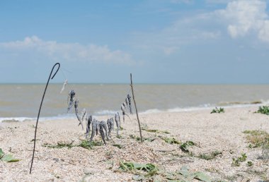 Sahilde balık kurutulur