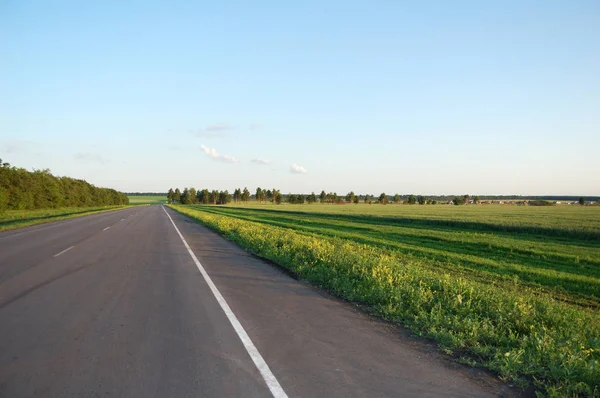 Придорожній Асфальт Зелена Трава — стокове фото