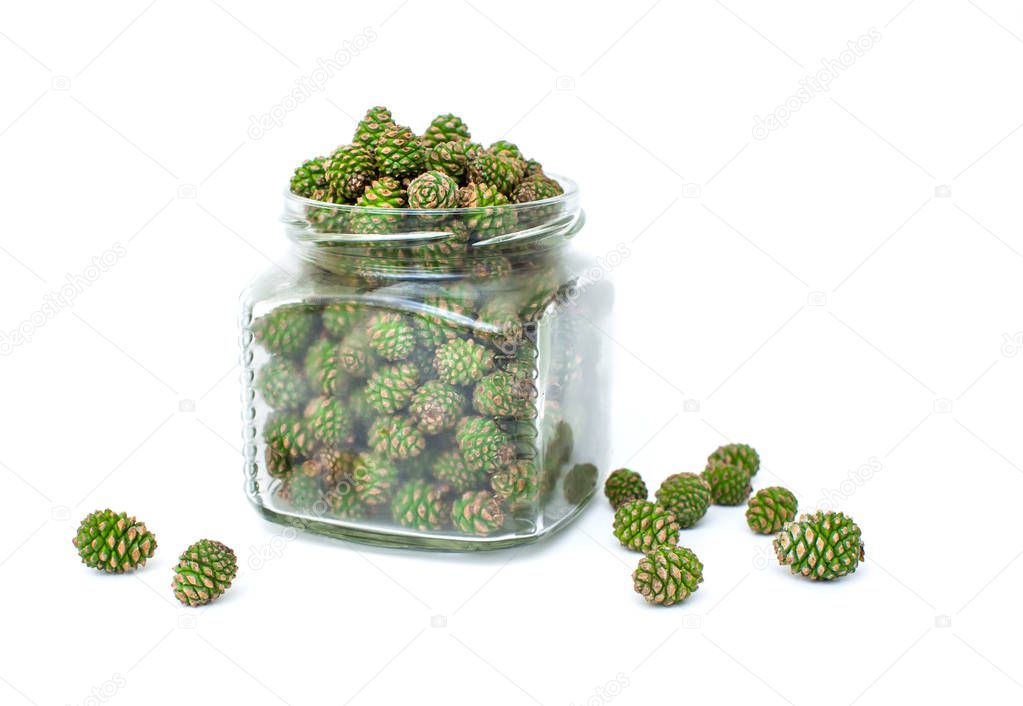 Young green pine cones in a glass jar on a white background