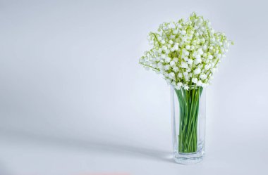 Düz bir arka plan üzerinde cam bir fincan vadinin zambak bir buket. Metin için boş alan