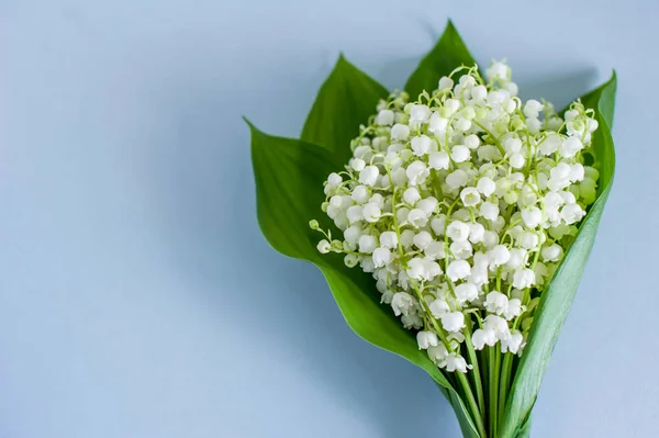 Bouquet of lily of the valley on a blue background close-up. Top view, empty space for text.