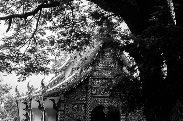 Черно Белая Графика Исторические Памятники Таиланде Провинция Чианг Является Второй — стоковое фото